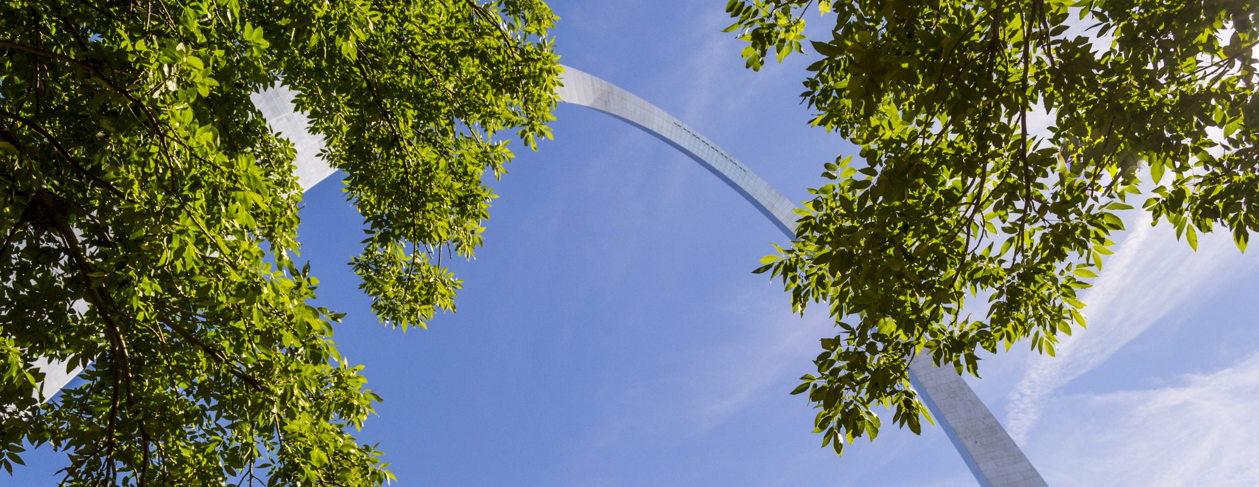 The St. Louis Arch